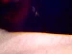 Jeune coquine experte en fellation