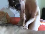 C'est une bonne suceuse avec son masque de chat