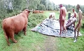 Une petite partouze interrompue