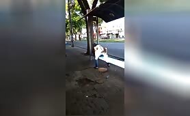 Couple baise à l'arrêt de bus