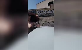 A poil dans une voiture