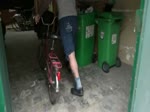 Cougar se fait sodomiser par l'homme de ménage