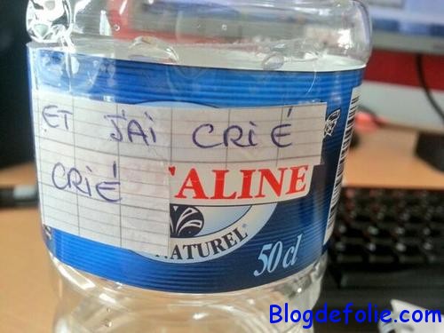 aline-pour-quelle-revienne